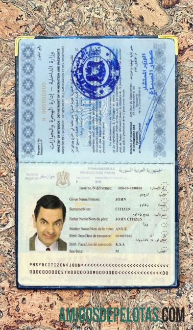 Foto do passaporte da Síria baixar para verificação